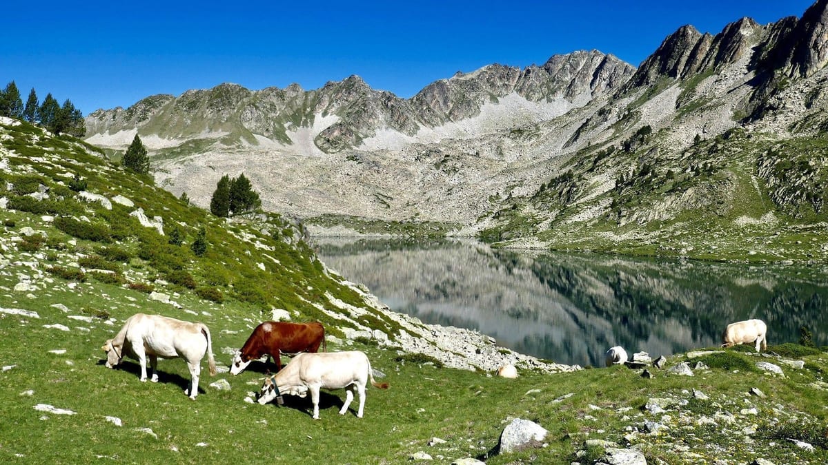 Idyllische Landschaften beim Wandern in den Pyrenäen