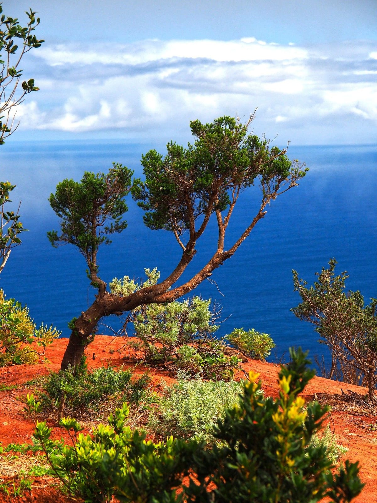 grandiose Wanderausblicke La Gomera